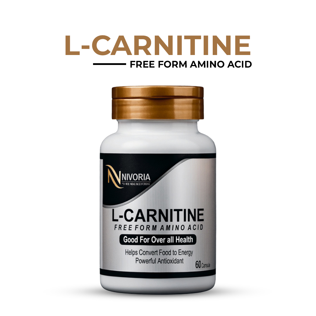 l carnitine l carnitine